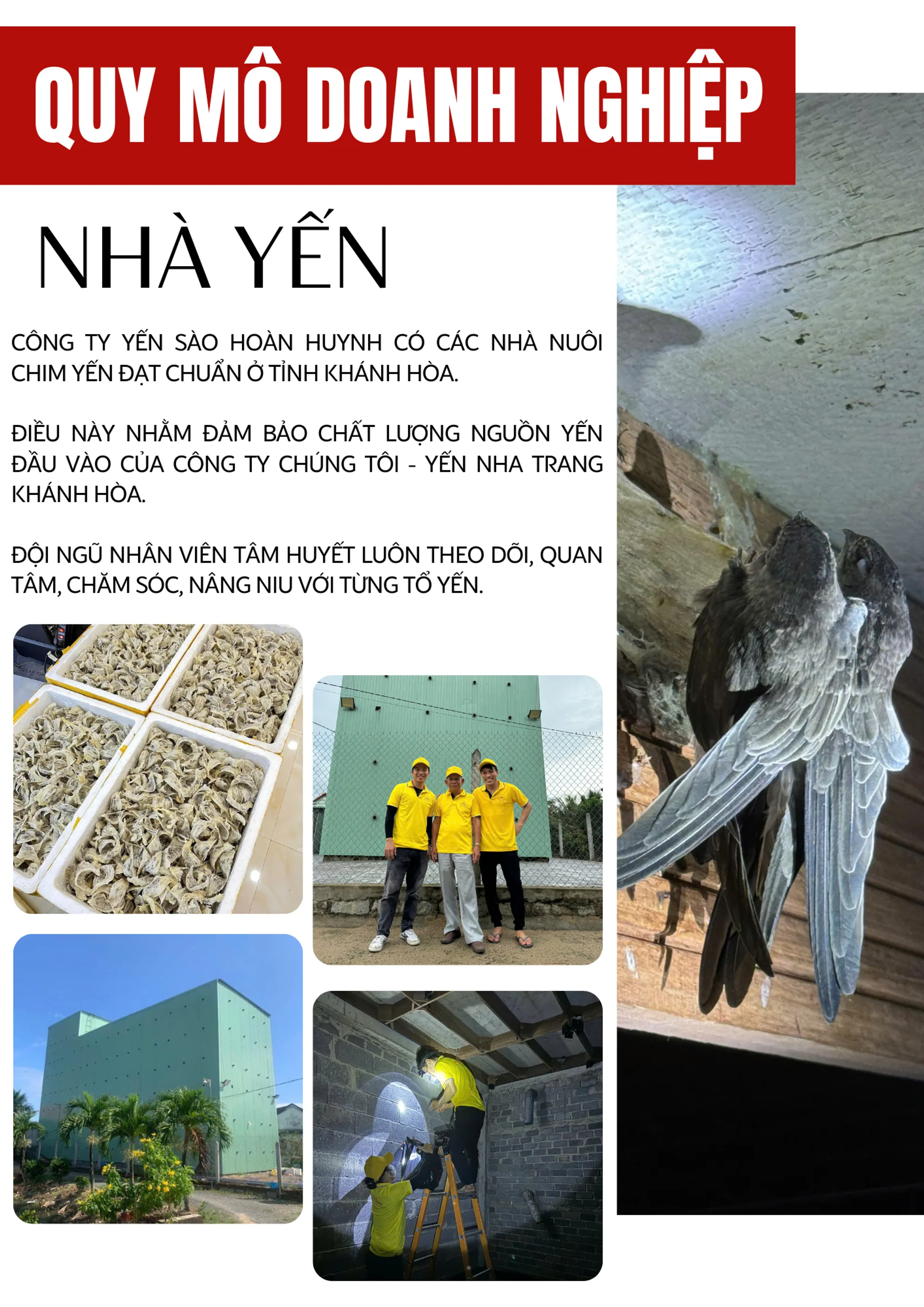 company profile image 2