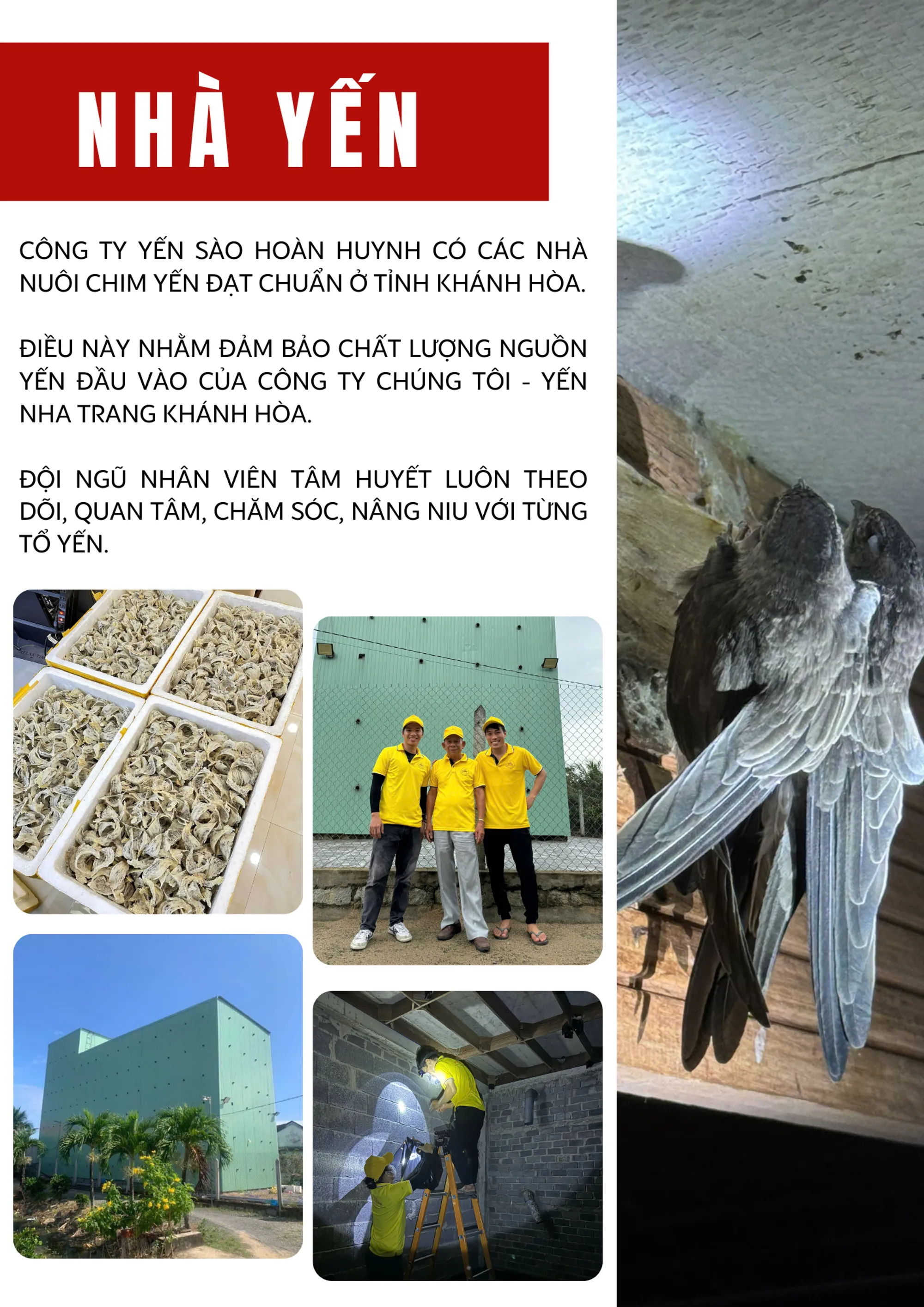 Nhà Yến