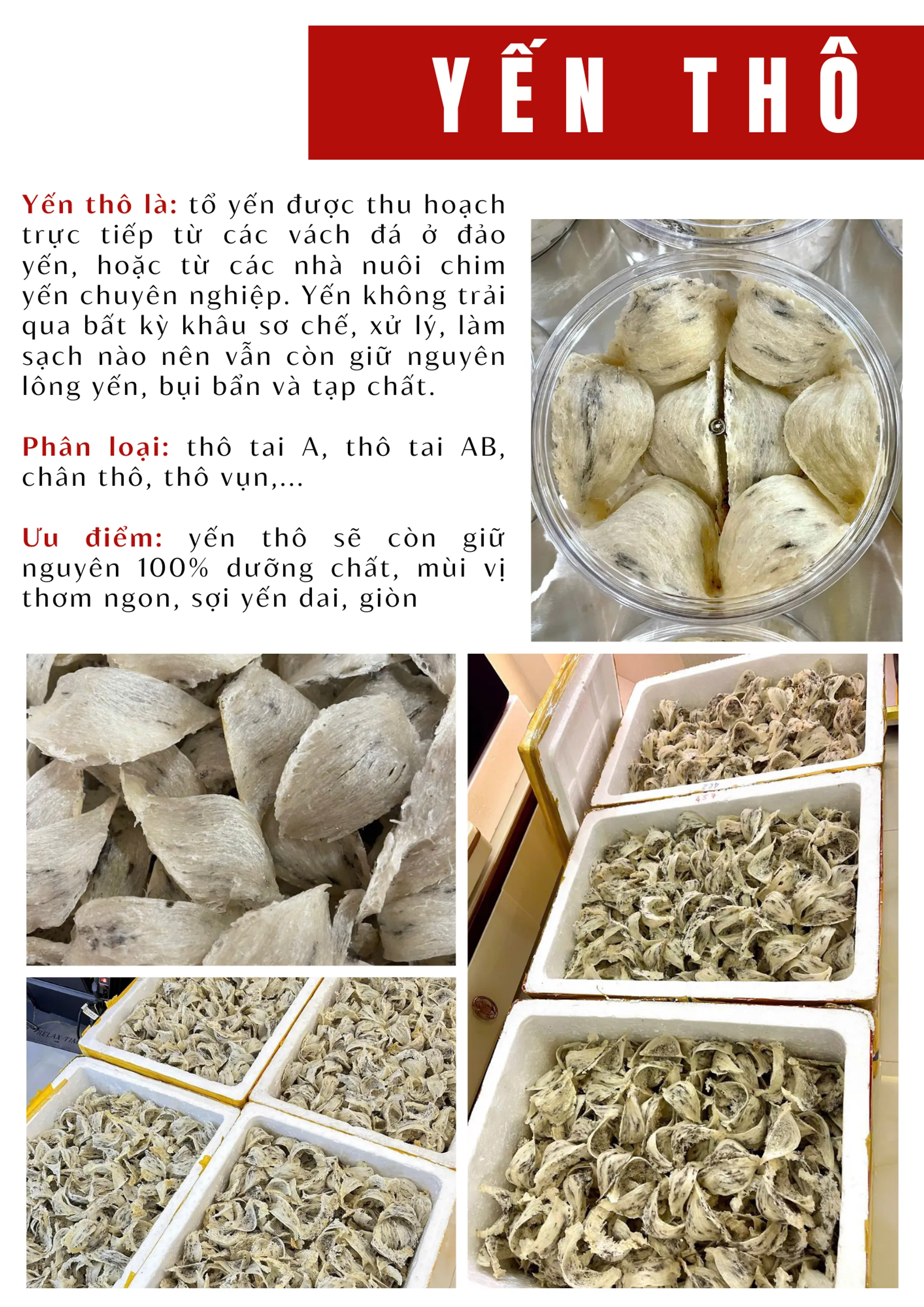 Yến thô